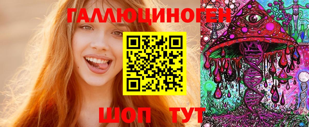 Псилоцибиновые грибы Psilocybe Ярцево