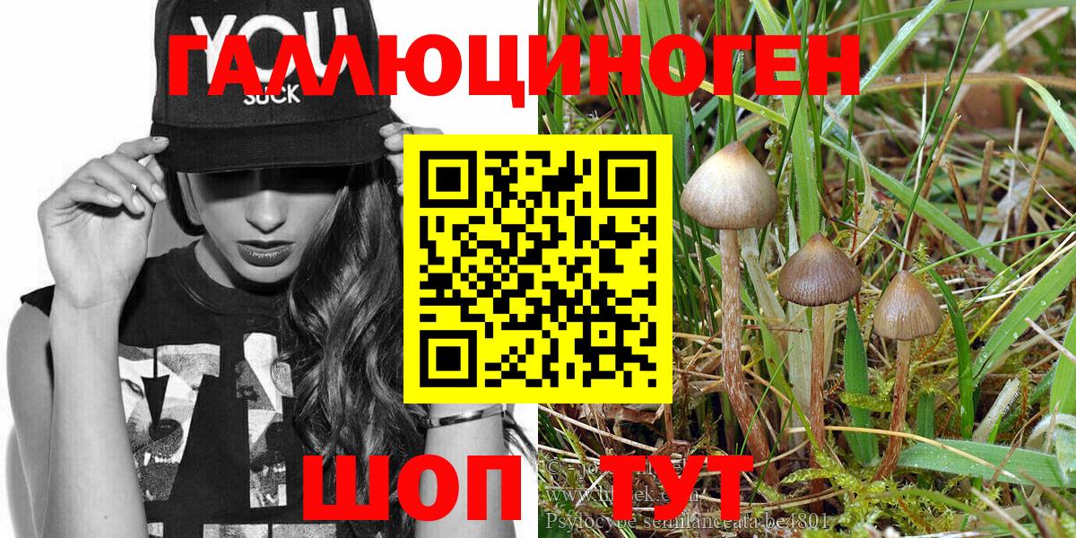 Галлюциногенные грибы Magic Shrooms  наркотики  Ярцево  Вход с VPN  Псилоцибиновые грибы прущие грибы 